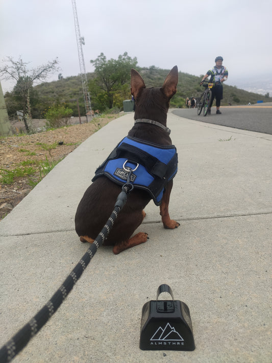 Reflective Padded Rope Leash for Dogs – 47" Heavy-Duty Nylon, Affordable & High-Quality