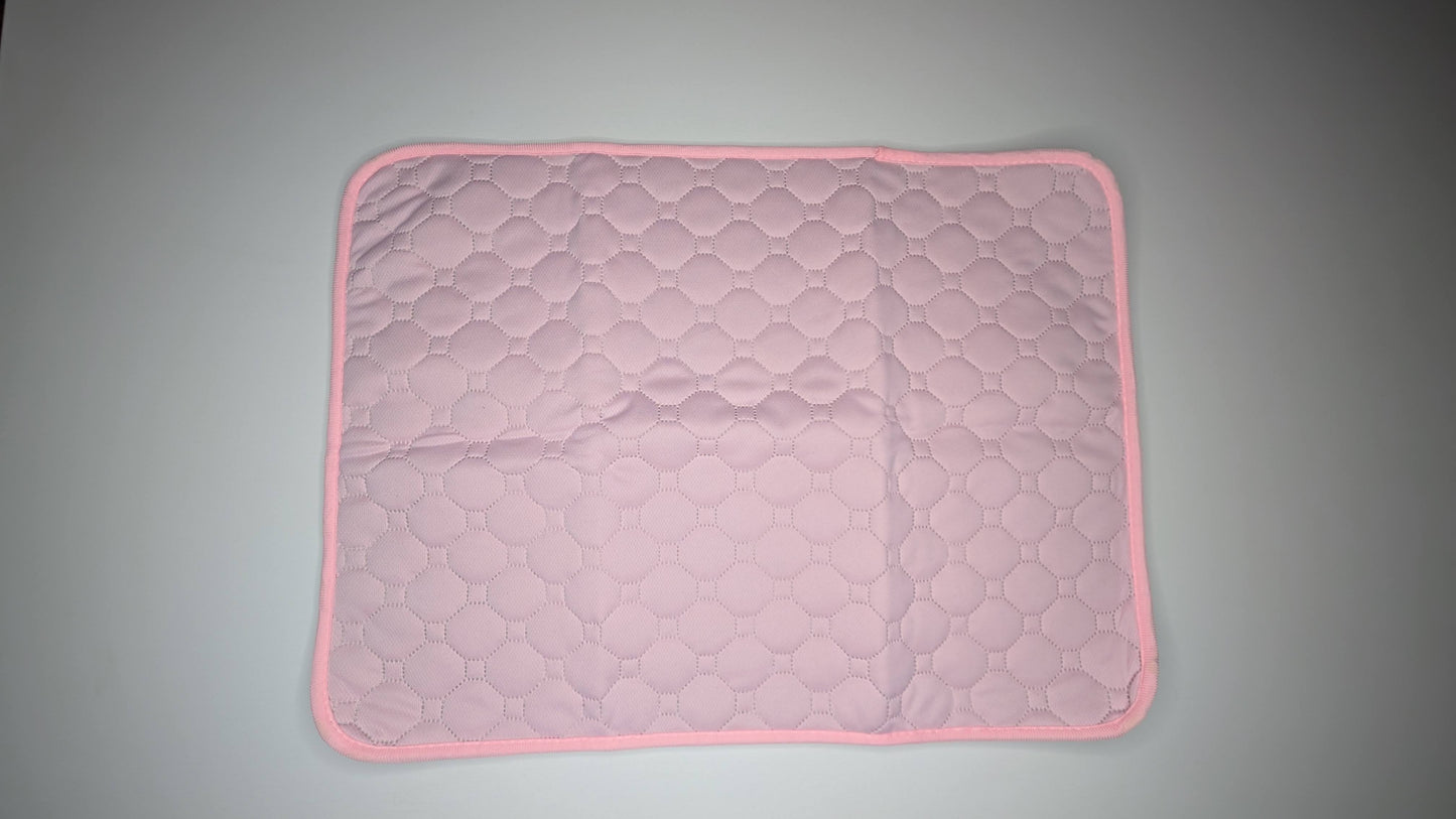 Reusable Dog Pee Pad Blanket 60×45 cm – For Training & Incontinence